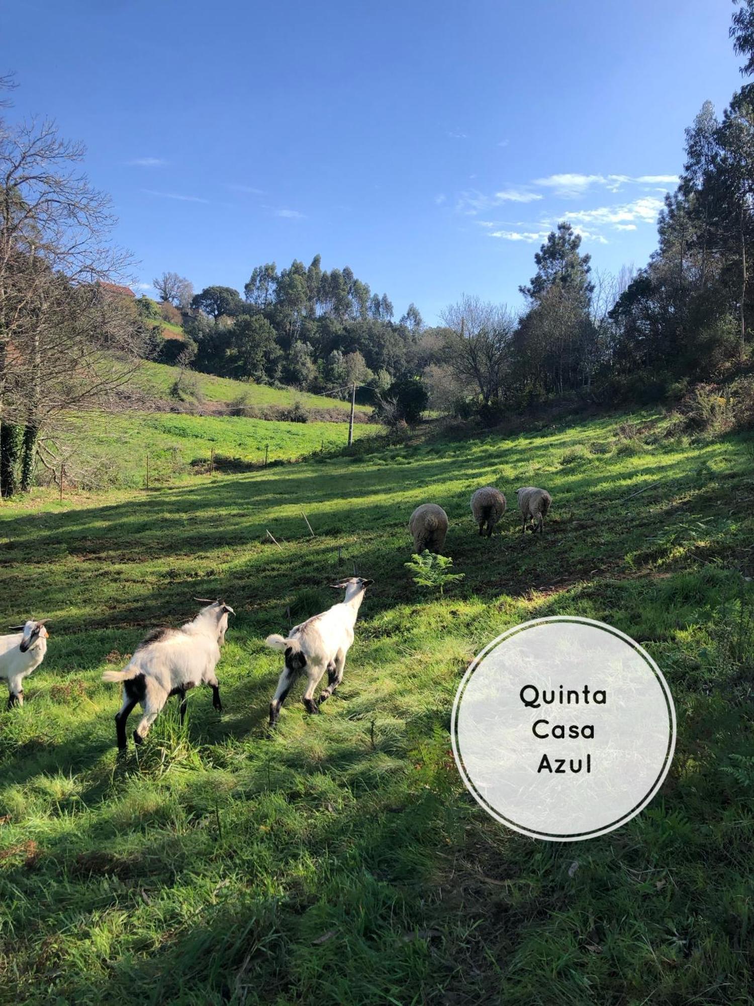 Quinta Da Casa Azul Villa Óbidos Eksteriør bilde